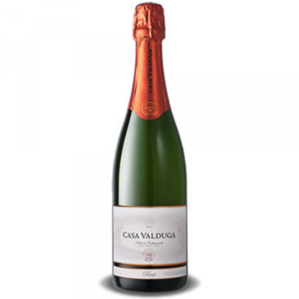 Espumante Casa Valduga Arte Brut